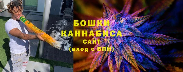 бошки Бородино