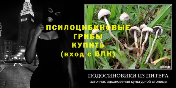 бошки Бородино
