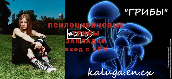 кокаин Богородицк