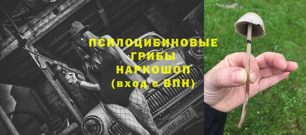 PSILOCYBIN Бронницы